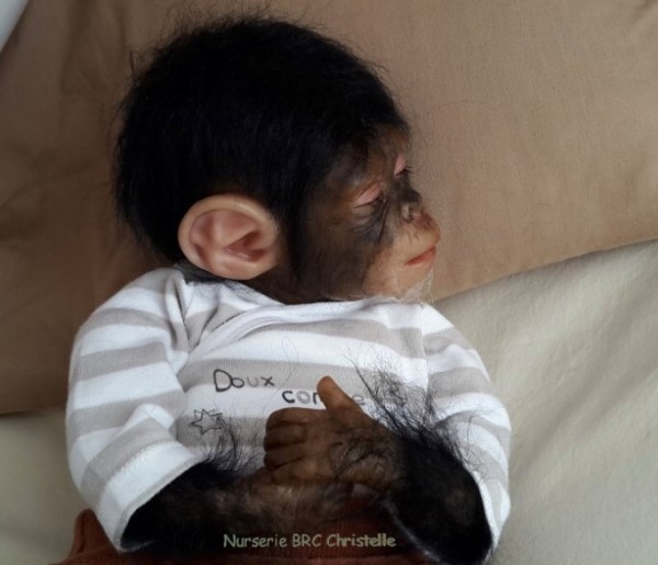 2B singe www.bebe-reborn-creation.fr  (8)